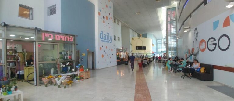 מחלה של קונספטים עיצוביים מתחלפים