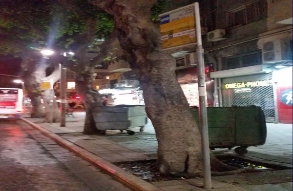 17:30 – "אתגר קריאת השלט"